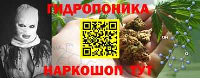 гидропоника Кимры