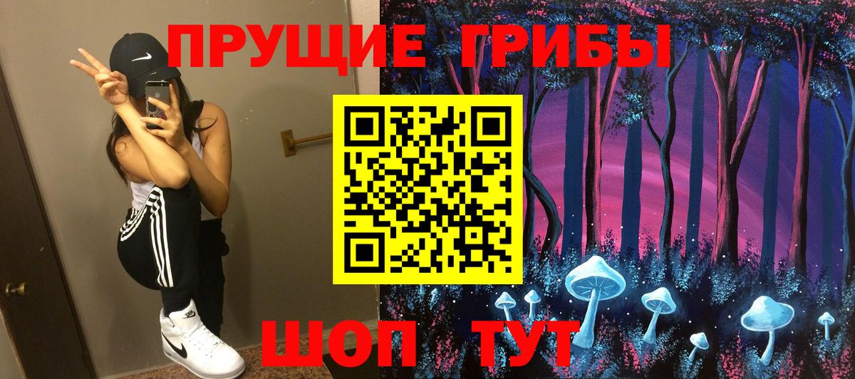 Хабаровск  Галлюциногенные грибы GOLDEN TEACHER  купить наркоту  Вход с VPN  Галлюциногенные грибы GOLDEN TEACHER 